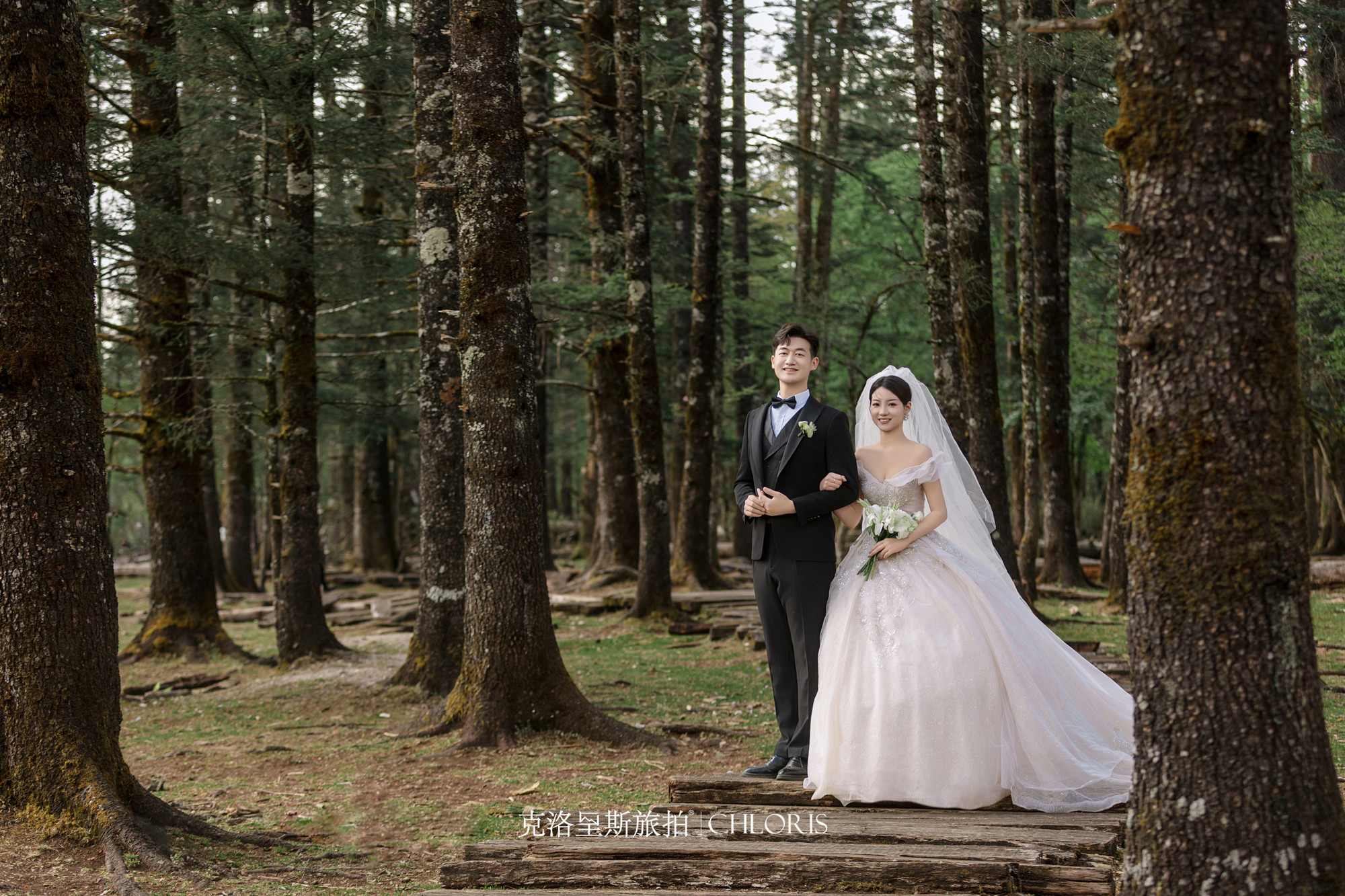 客片-云杉坪系列11